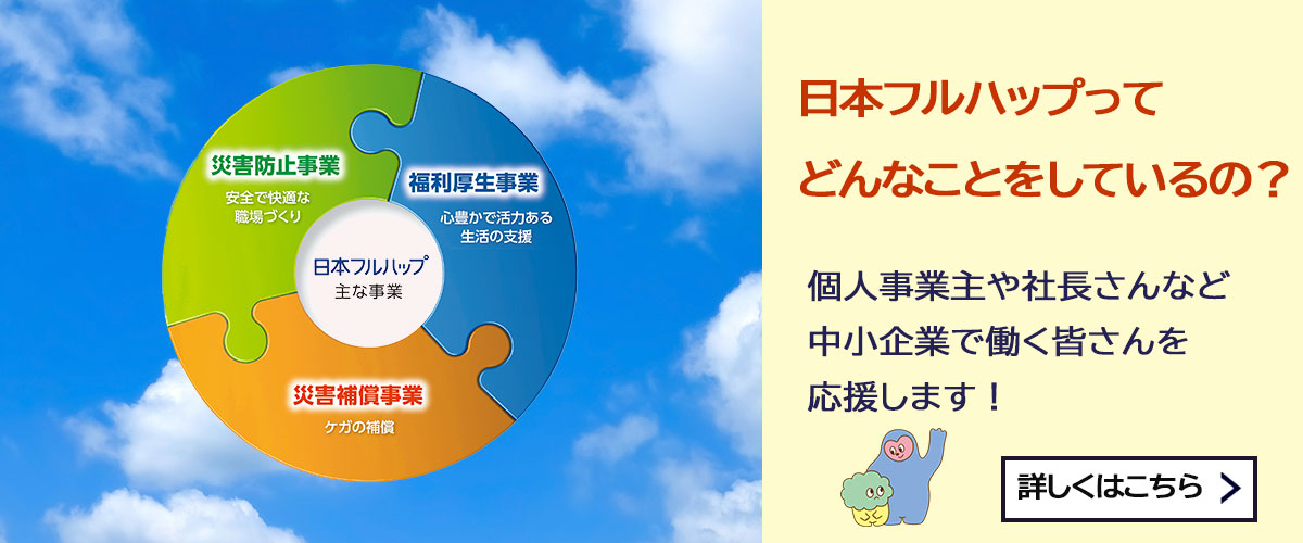 日本フルハップとは